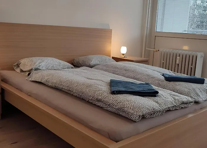 Big And Sunny Apartment With Great Acces To Center