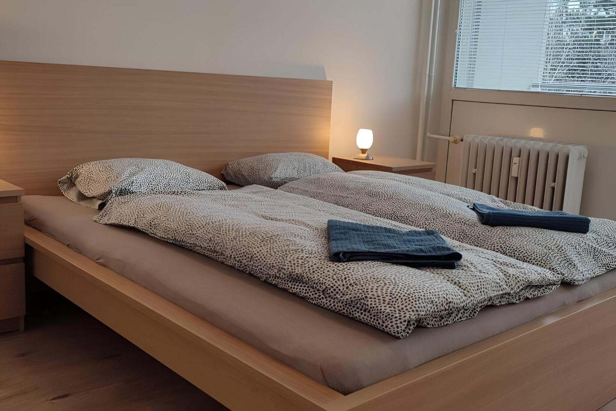 Big And Sunny With Great Acces To Center Apartment