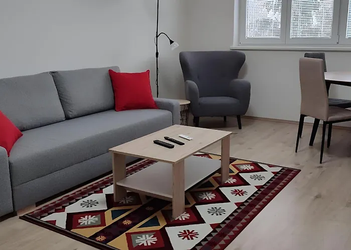 Big And Sunny Apartment With Great Acces To Center