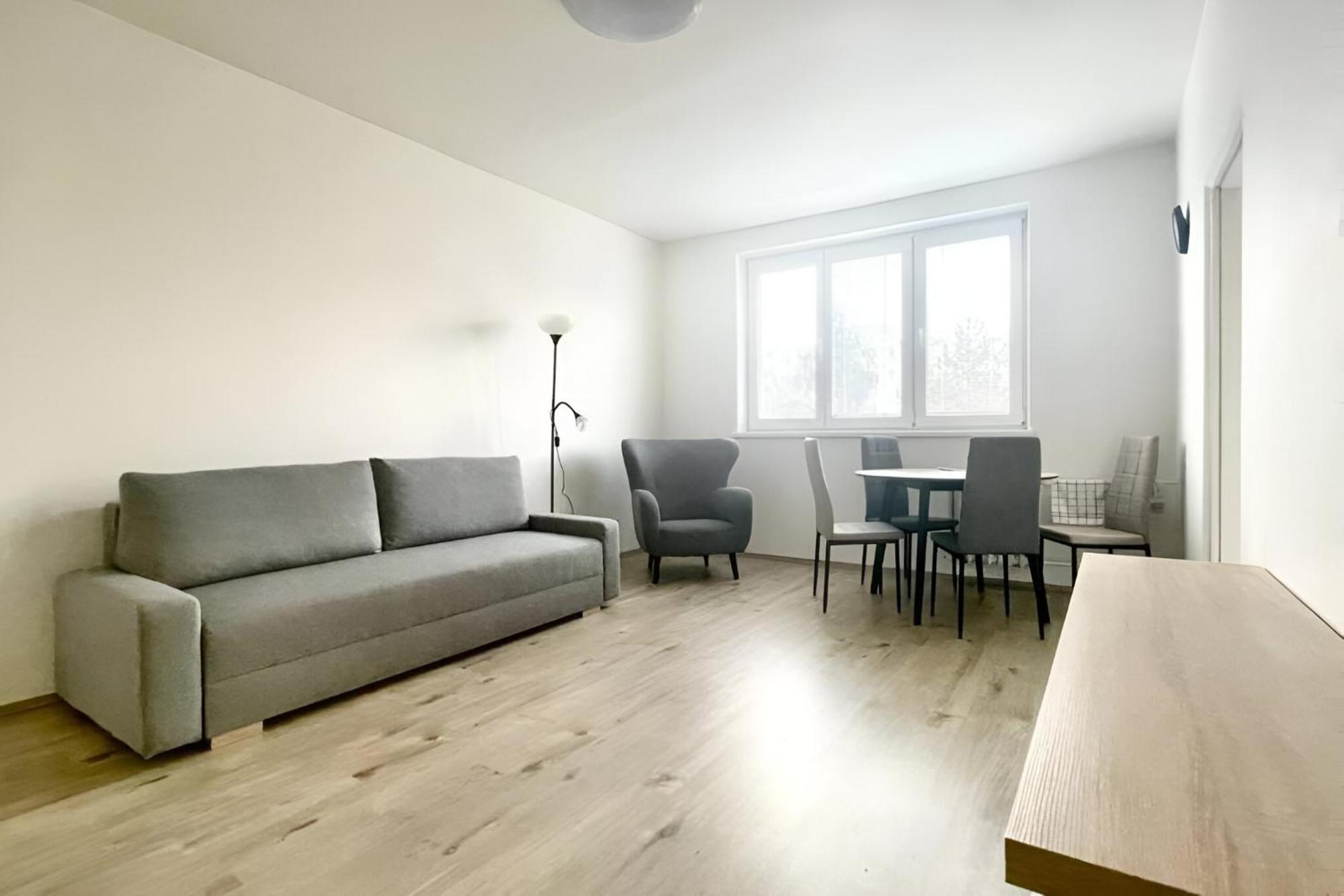 Big And Sunny With Great Acces To Center Apartment